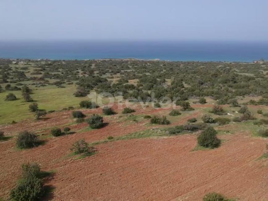 16 Hektar 1 Evlek-Land zum Verkauf in FAMAGUSA/TATLISU