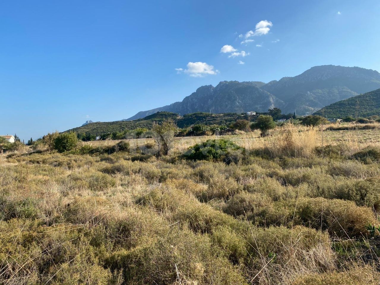 9550m2 land for sale in Kyrenia/Alsancak