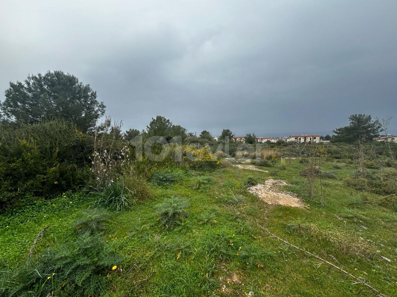 Herrlicher Standort zum Verkauf in Kyrenia/Çatalköy, 6 Hektar Land zum Verkauf