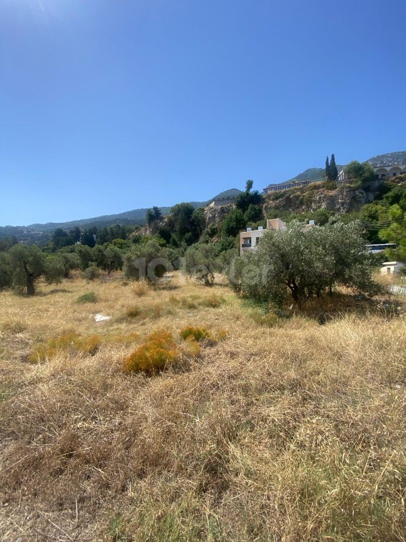 3345m2 Land for sale in Kyrenia/Lapta