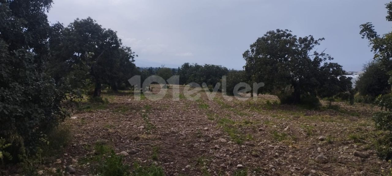 1670m2 land with mountain and sea views for sale in Famagusta/Tatlısu