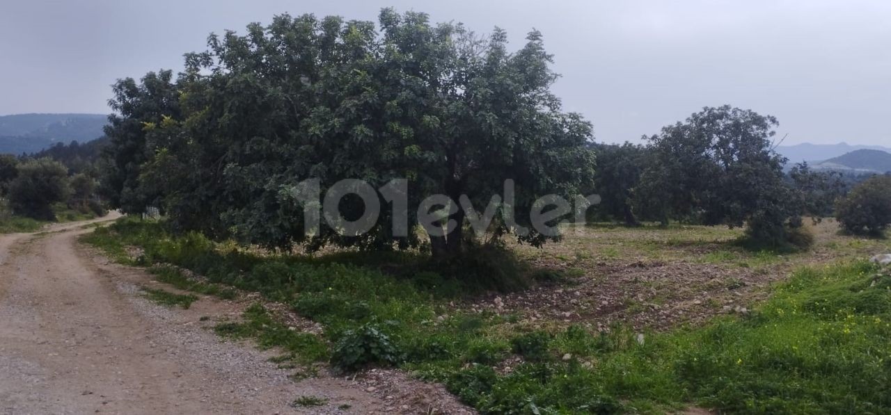 1670m2 land with mountain and sea views for sale in Famagusta/Tatlısu