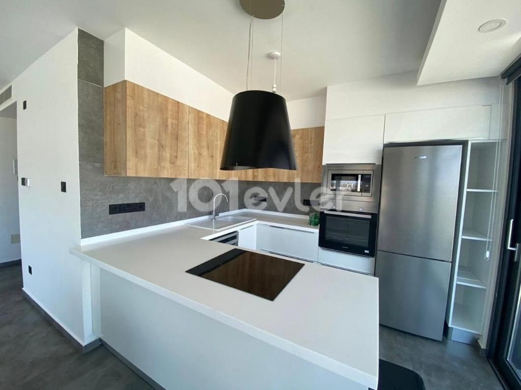 Luxury 2 Bedroom Apartment for Rent 