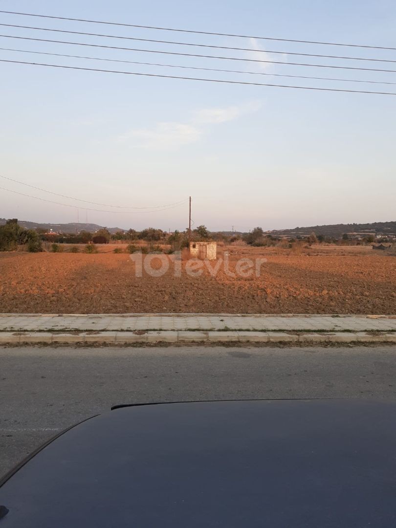 Field For Sale in Dipkarpaz, Iskele