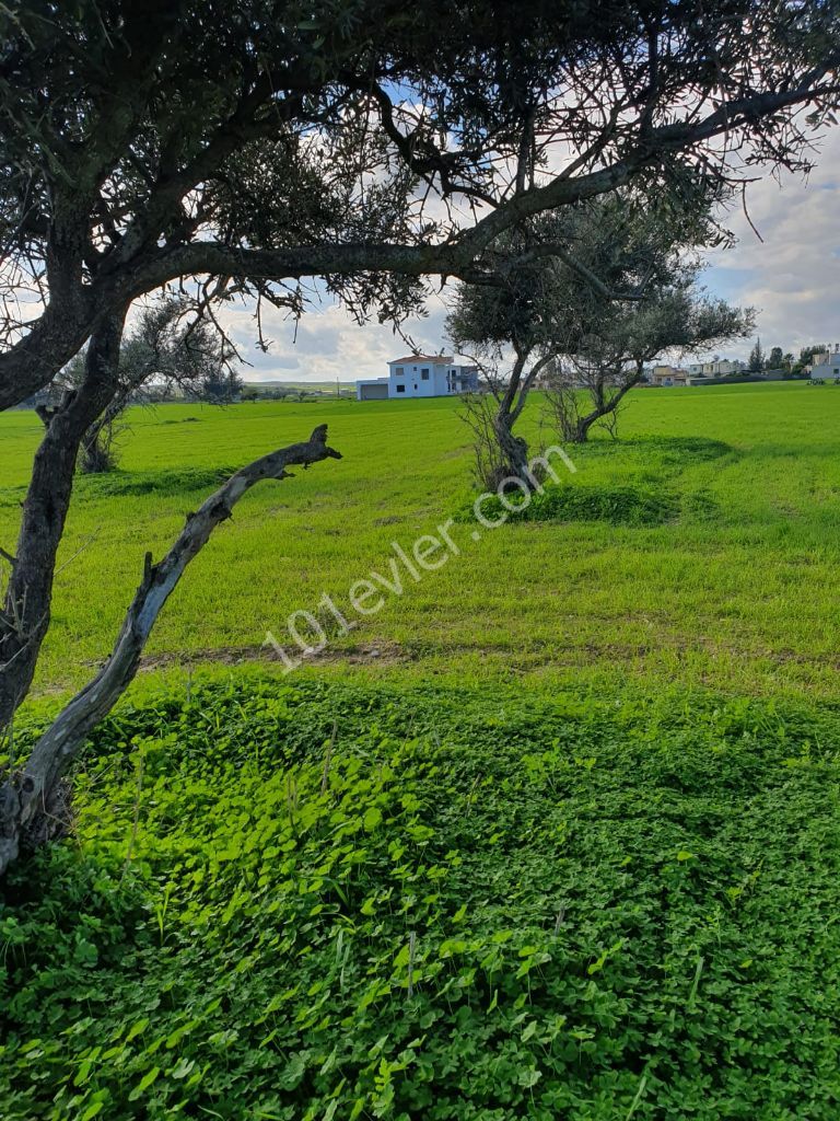 Residential Zoned Plot For Sale in Yeni Boğaziçi, Famagusta