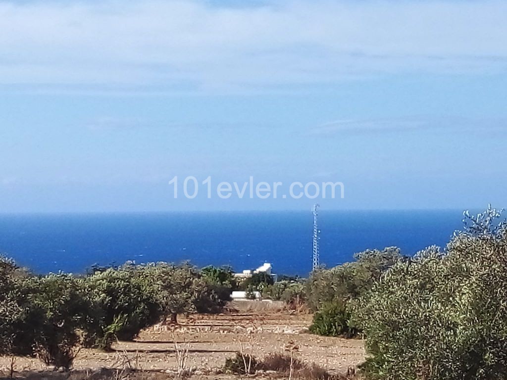 LAND FOR SALE IN İSKELE SİPAHİ ** 