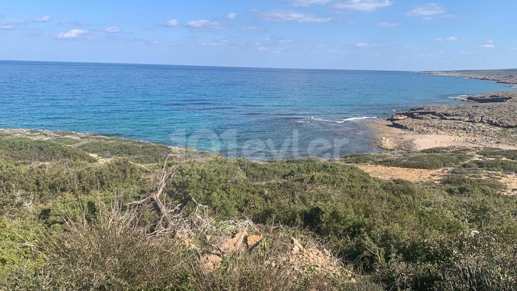 7 DNM LAND IN GREENKIRKOY, DIREKT AM MEER