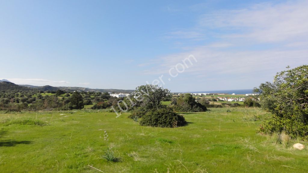 Feld Kaufen in Bahçeli, Kyrenia