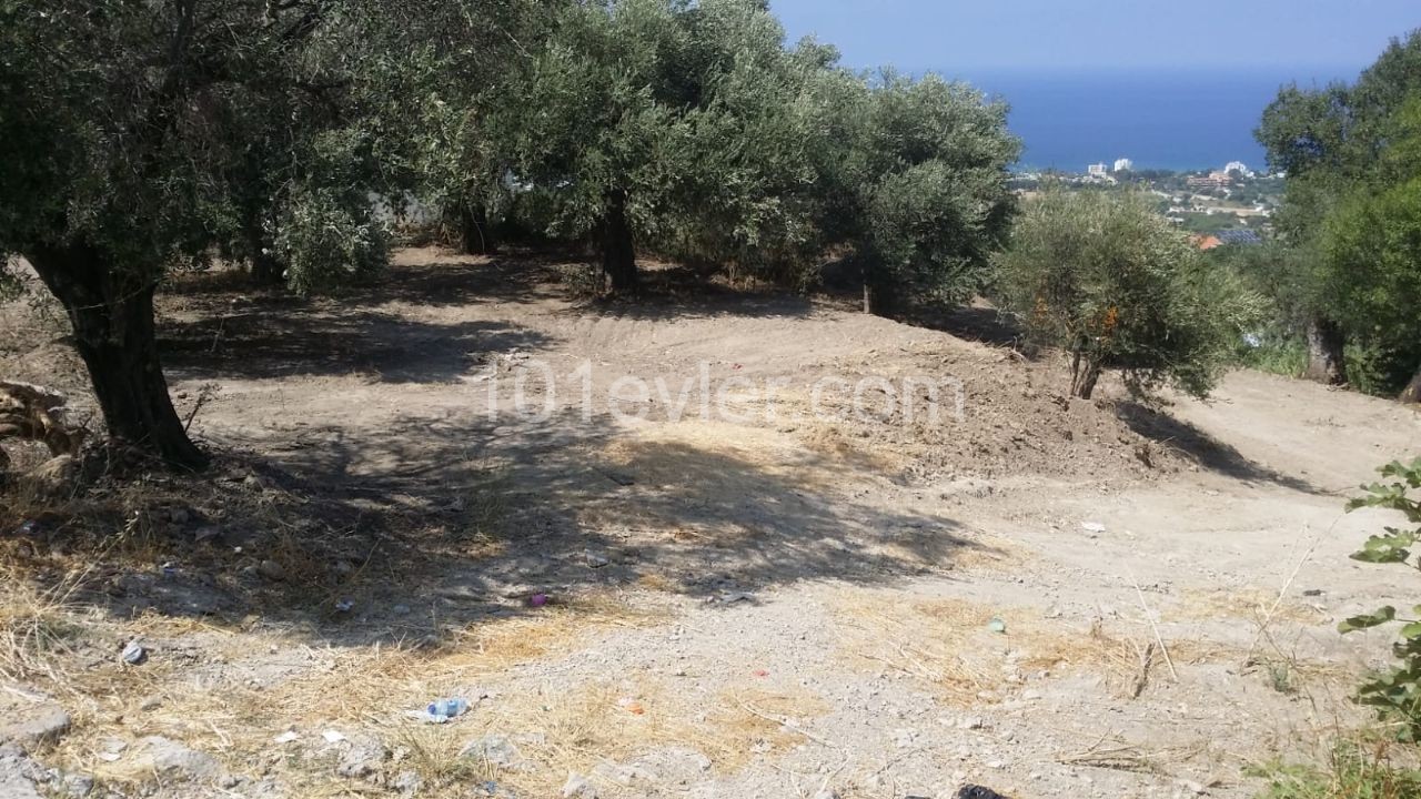 LAND FOR SALE AT BAŞPINAR NEAR THE ROAD - LAPTA OF KYRENIA, 2486 m2 LAND FOR SALE (90% CLOSED CONSTRUCTION COEFFICIENT, 3 FLOOR PERMIT), ROAD READY, PROJECT PERMITTED