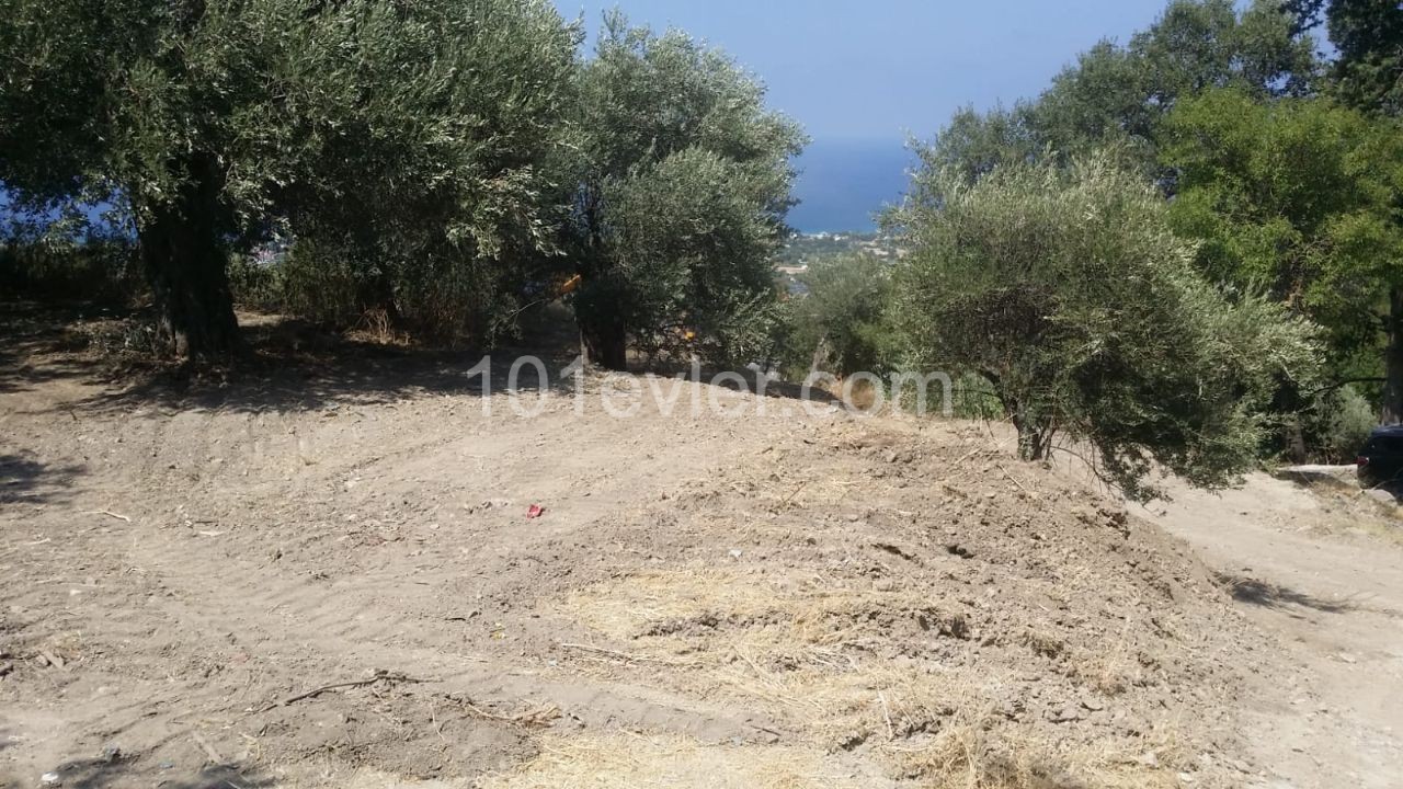 LAND FOR SALE AT BAŞPINAR NEAR THE ROAD - LAPTA OF KYRENIA, 2486 m2 LAND FOR SALE (90% CLOSED CONSTRUCTION COEFFICIENT, 3 FLOOR PERMIT), ROAD READY, PROJECT PERMITTED