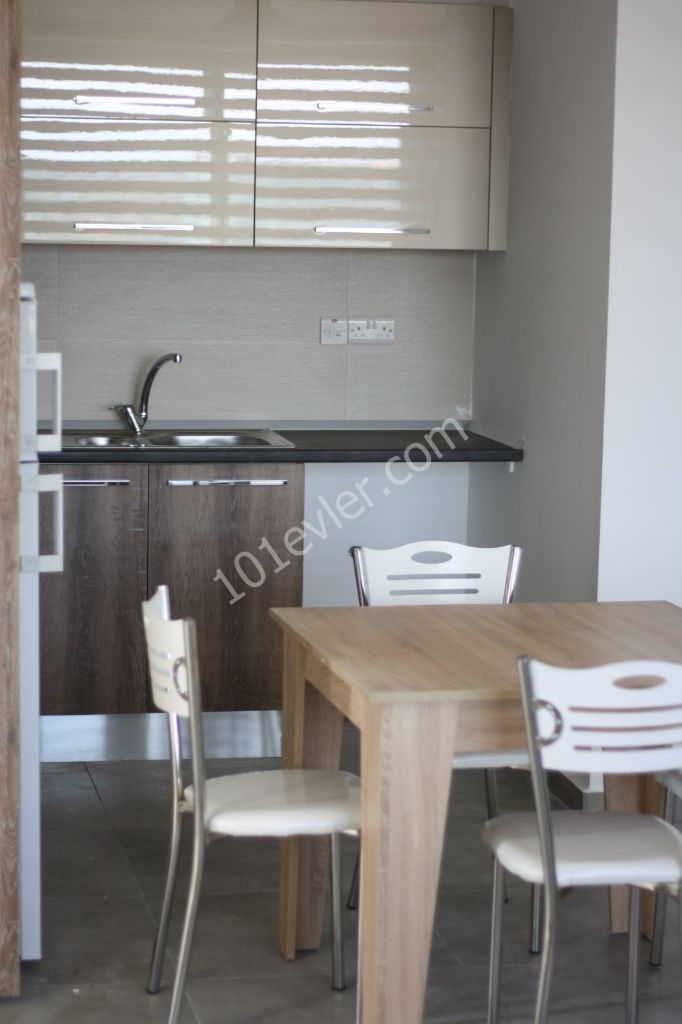 No commission! 2 bedroom, new luxurious, furnished flat, in Dereboyu, Nicosia