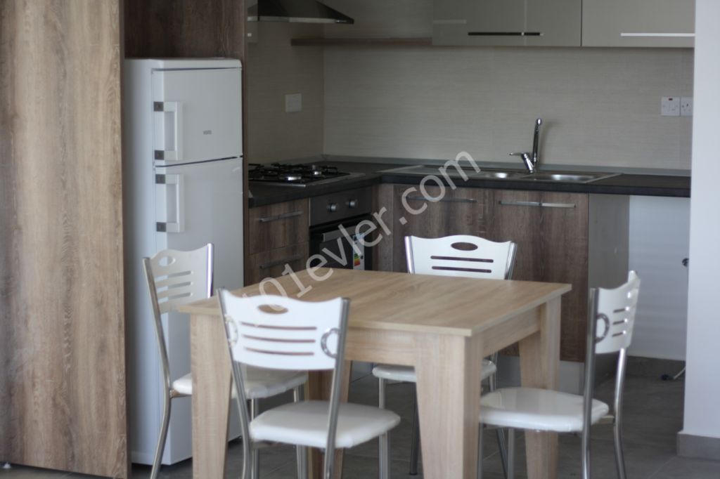 No commission! 2 bedroom, new luxurious, furnished flat, in Dereboyu, Nicosia