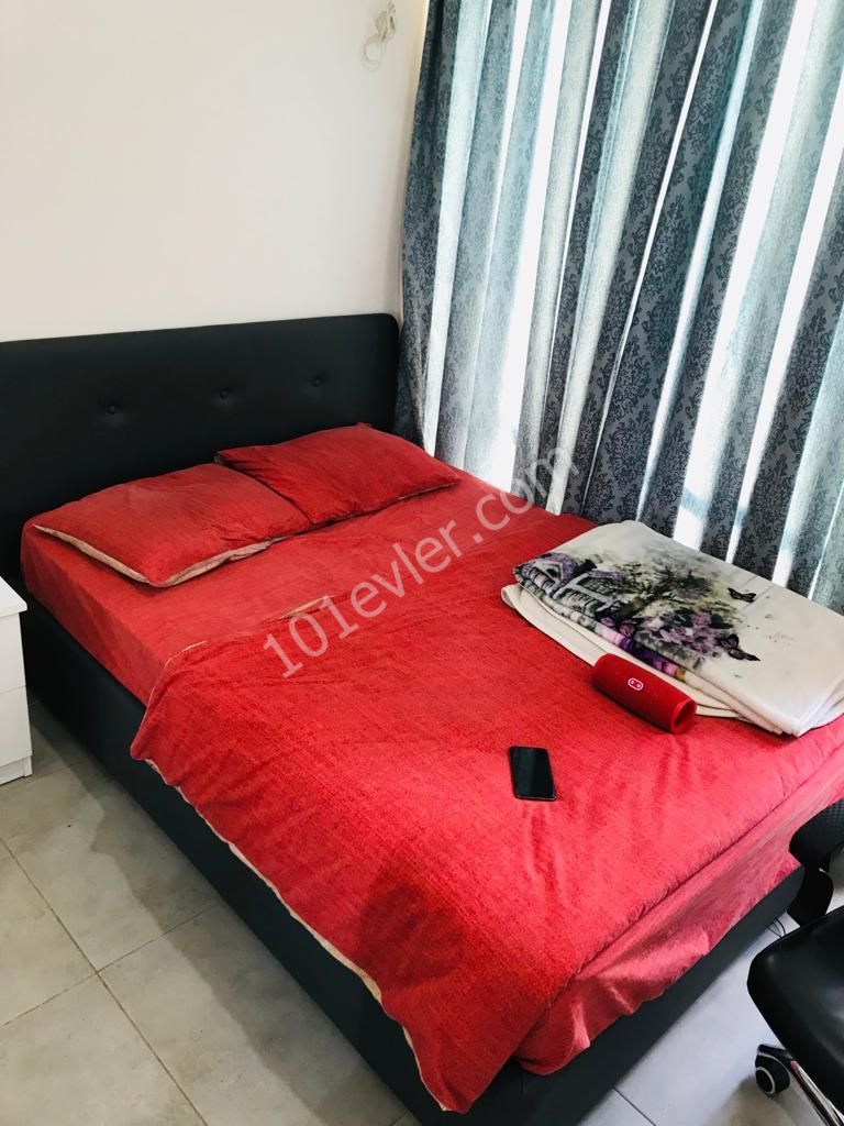 Lefkoşa, Hamitköy'de 3+1 eşyalı, kiralık daire