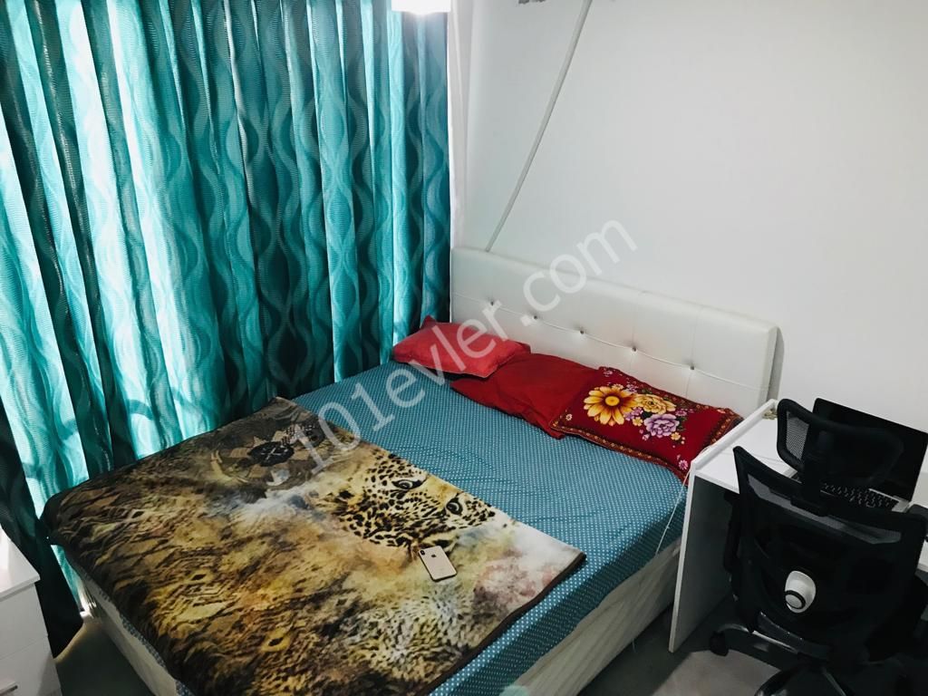 Lefkoşa, Hamitköy'de 3+1 eşyalı, kiralık daire