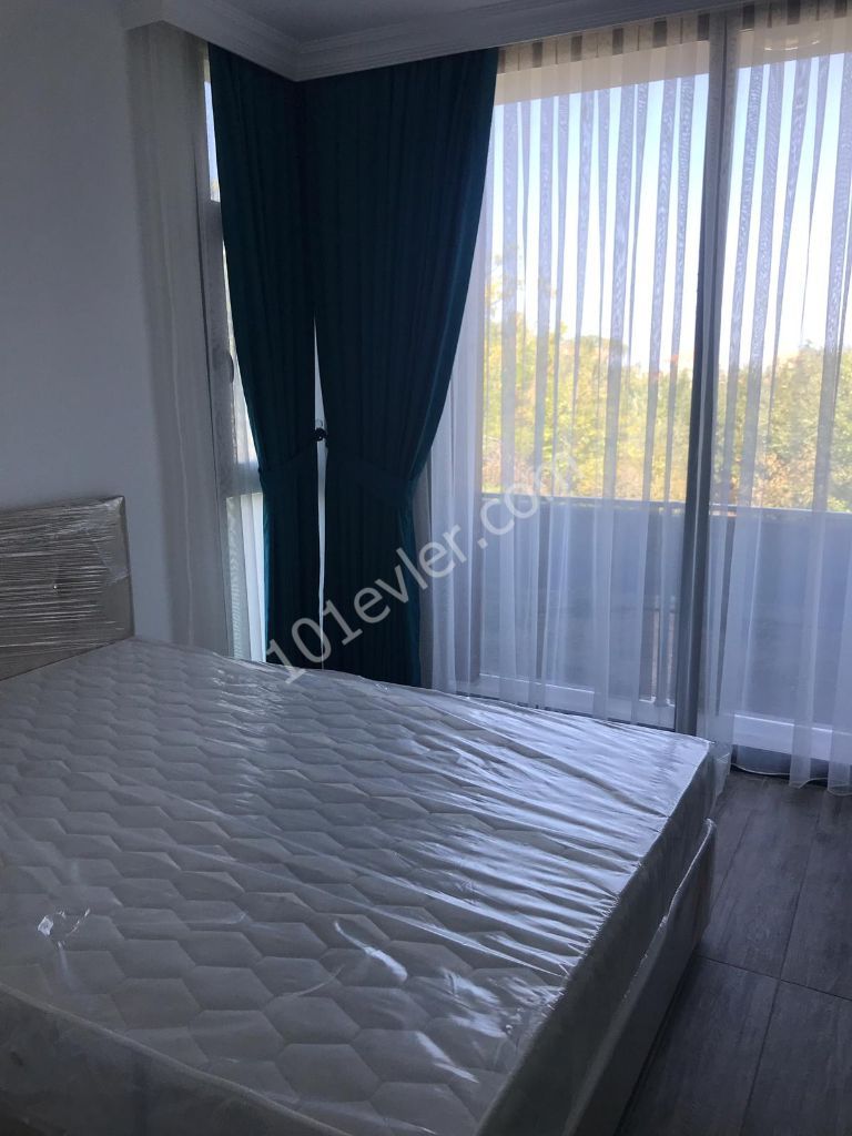 1 bedroom luxurious flat with furniture, in Lapta, complex with pool