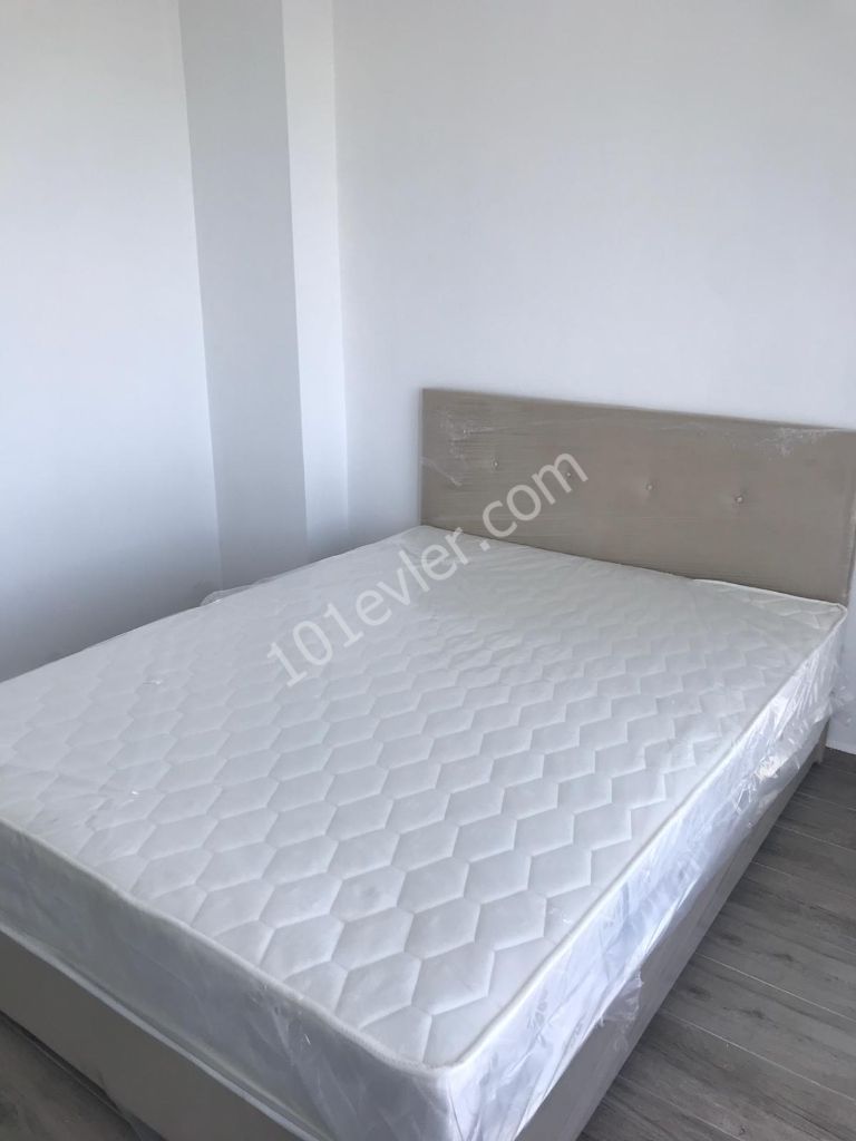 Lapta'da havuzlu lüks site içerisinde 1+1 sıfır full eşyalı daire !