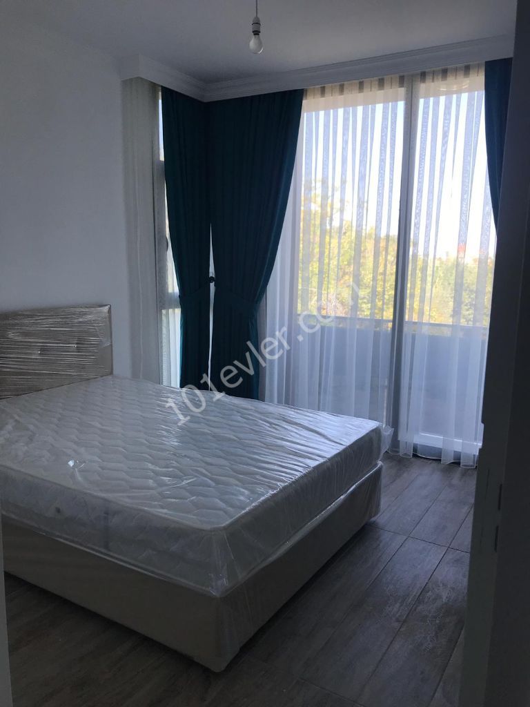 1 bedroom luxurious flat with furniture, in Lapta, complex with pool