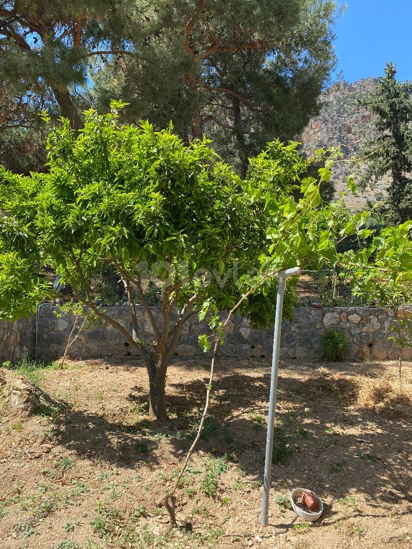 Sahibinden satılık lüks villa - Panoramik dağ ve şehir manzarası, büyük ve bakımlı bahçe