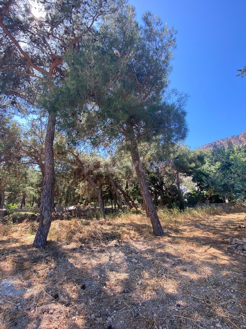 Sahibinden satılık lüks villa - Panoramik dağ ve şehir manzarası, büyük ve bakımlı bahçe