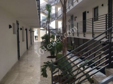 2 + 1 fully furnished apartments within walking distance to NEU **  ** 