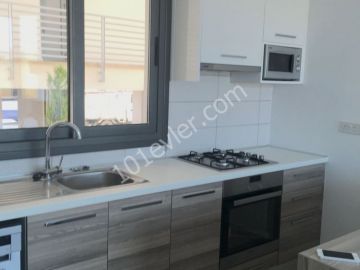 2 + 1 fully furnished apartments within walking distance to NEU **  ** 