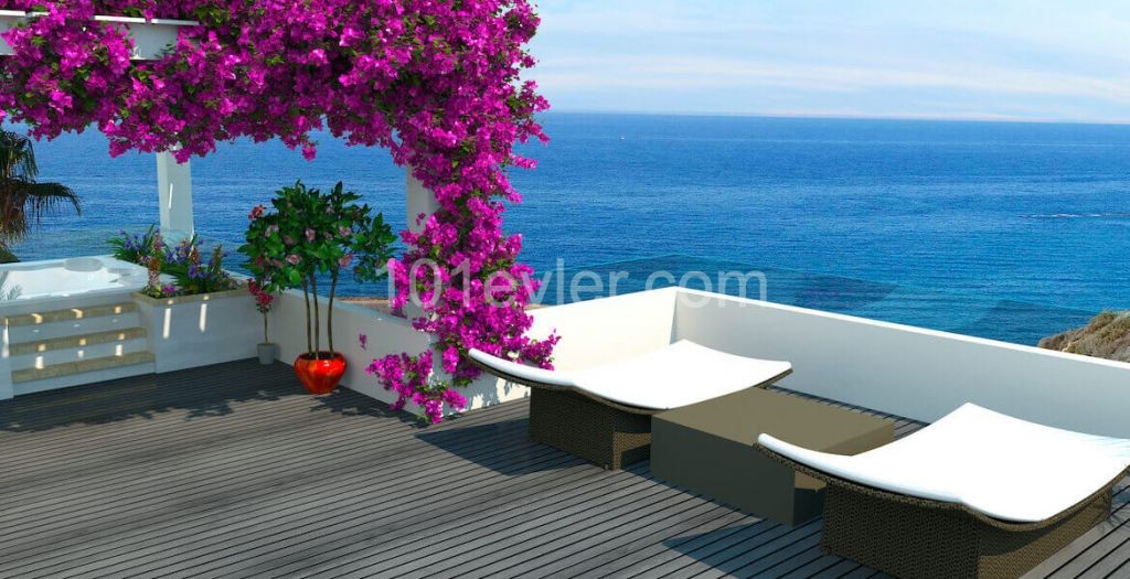 SA-239 Penthouse by the sea