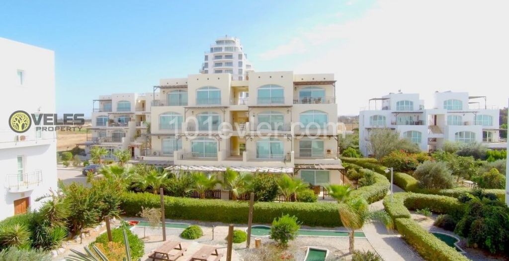 SA-2177 Apartment in Aphrodite from the owner