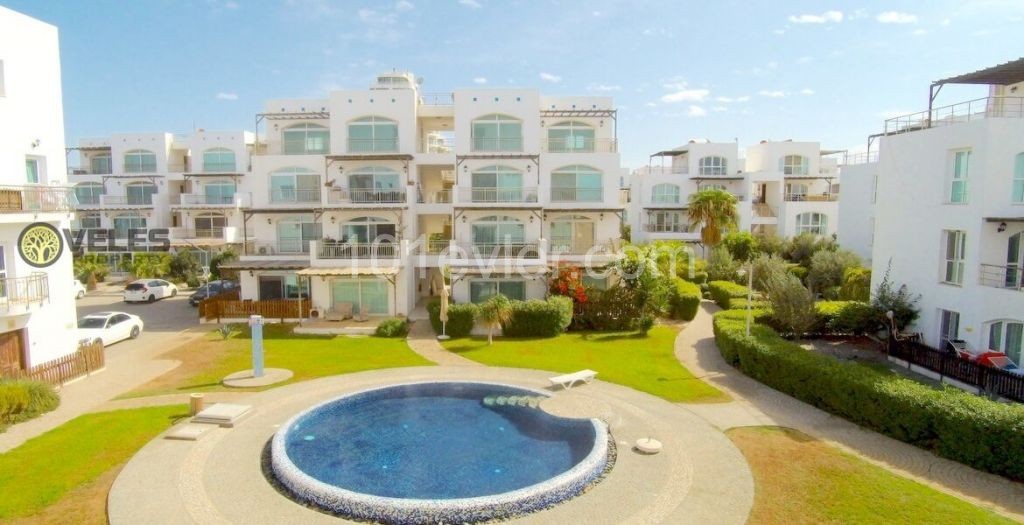 SA-2177 Apartment in Aphrodite from the owner