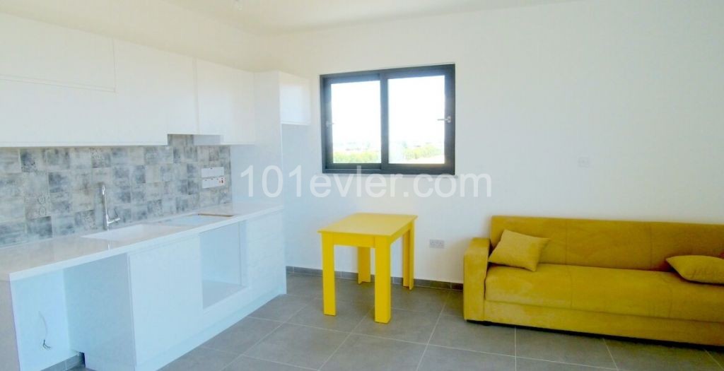 SA-136 Furnished apartment on the beach