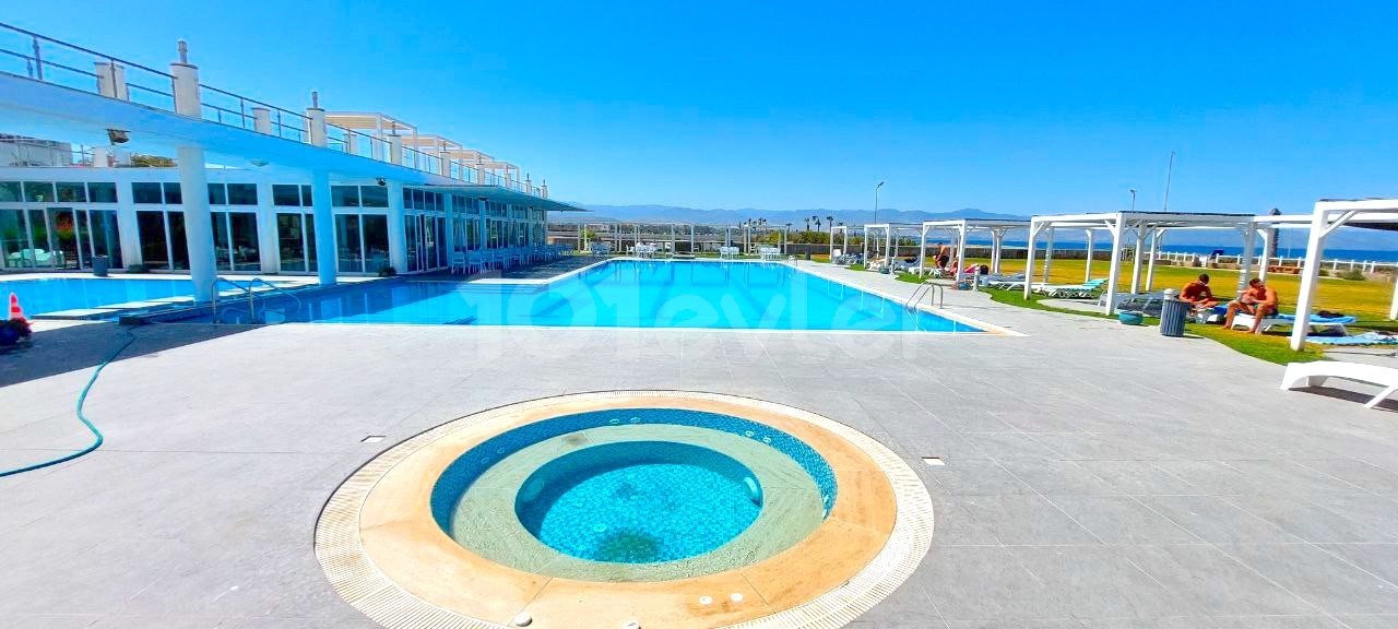 Daily rent in Aphrodite ** 