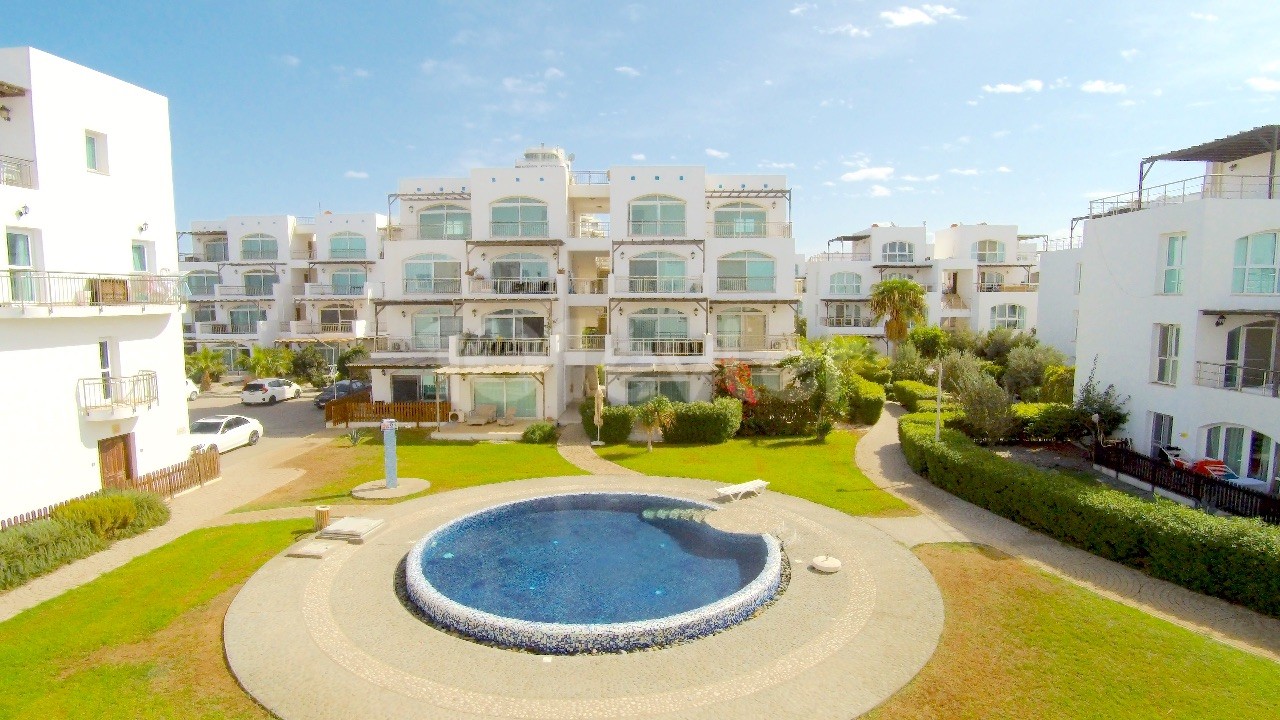 Daily rent in Aphrodite