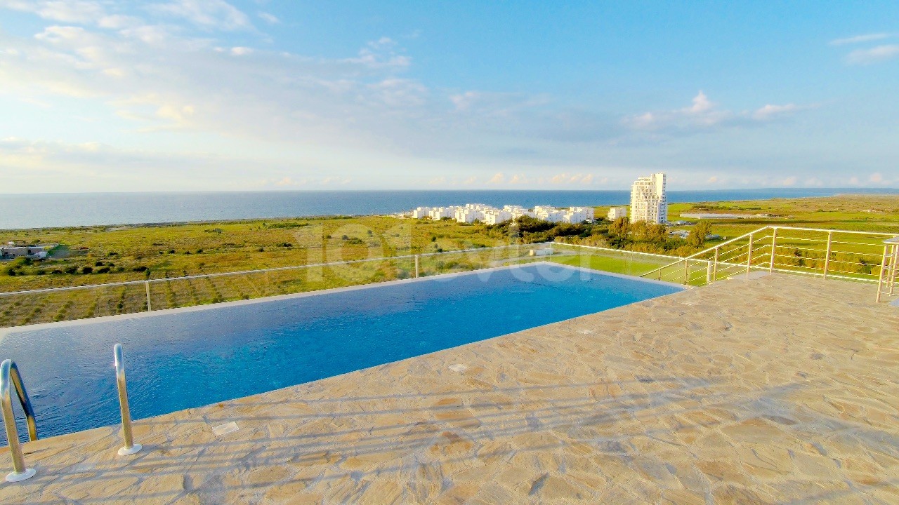 Daily rent in Aphrodite