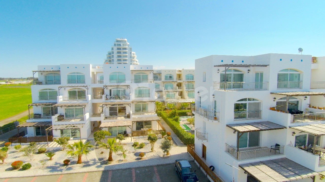 Daily rent in Aphrodite ** 