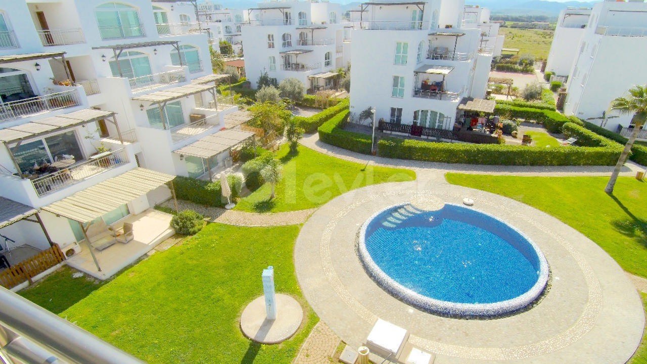 Daily rent in Aphrodite ** 