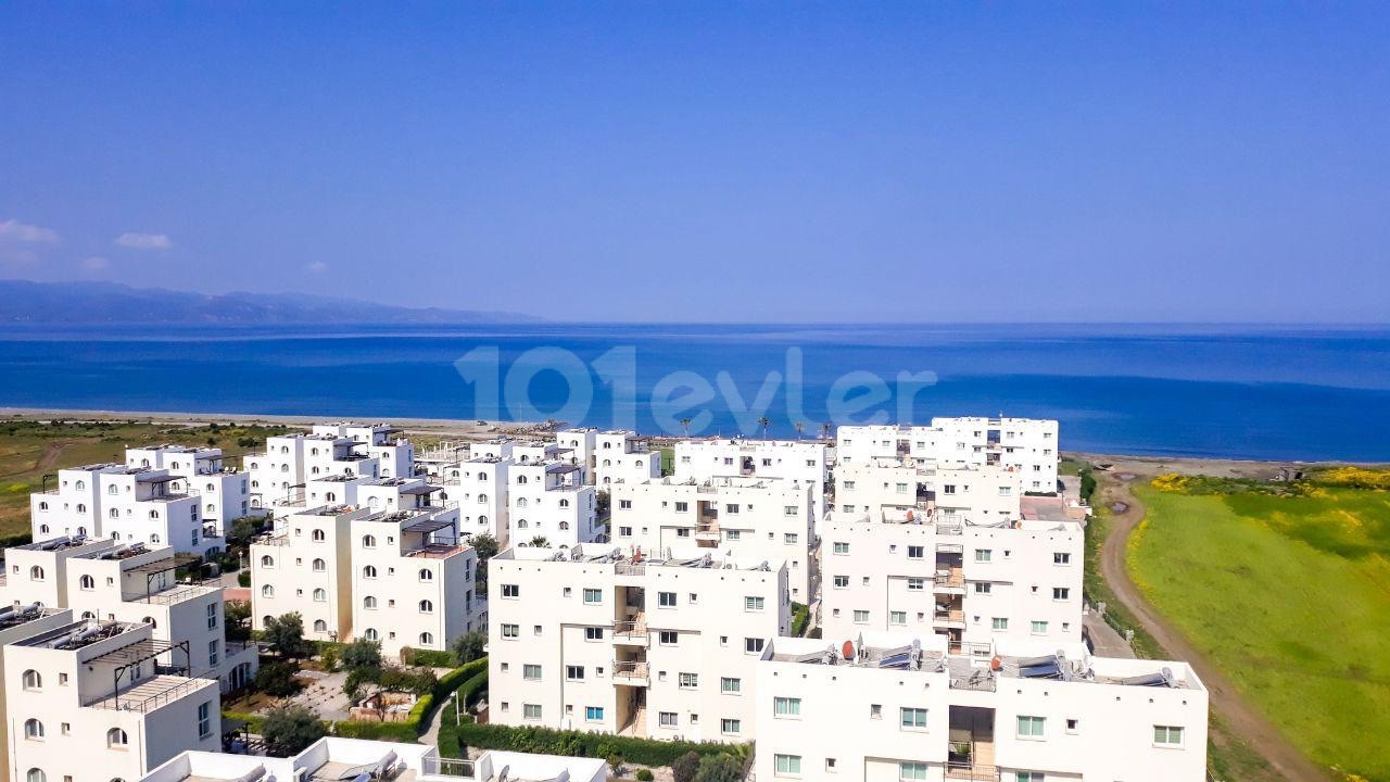 Daily rent in Aphrodite ** 