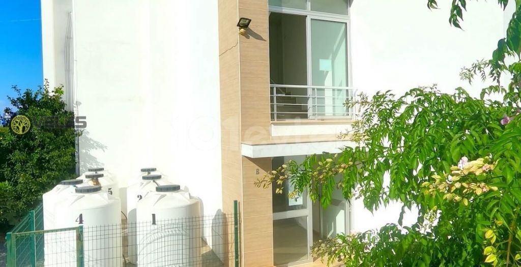 SA-1141 Urgent sale apartment 1 1 ** 