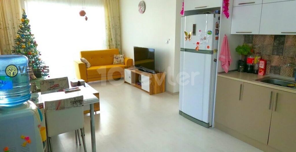 SA-2275 Apartment in Alsancak near the school