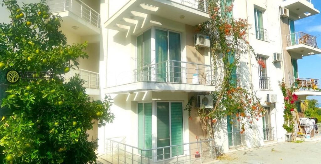 SA-1214 One Bedroom Apartment in Alsancak