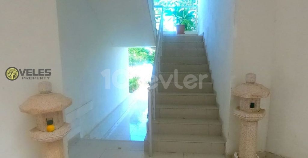 SA-1214 One Bedroom Apartment in Alsancak