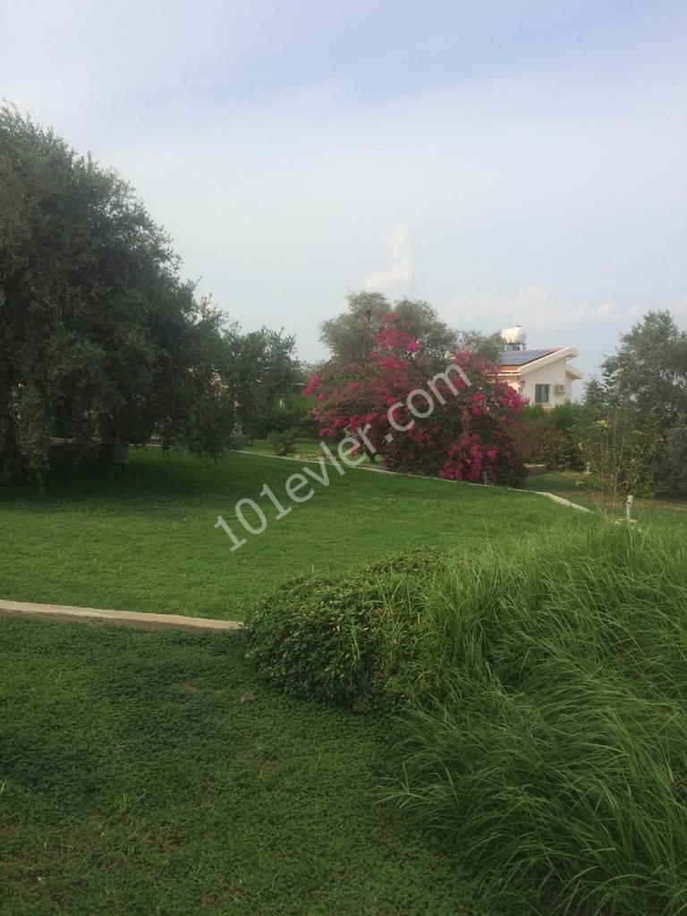 Villa To Rent in Ozanköy, Kyrenia