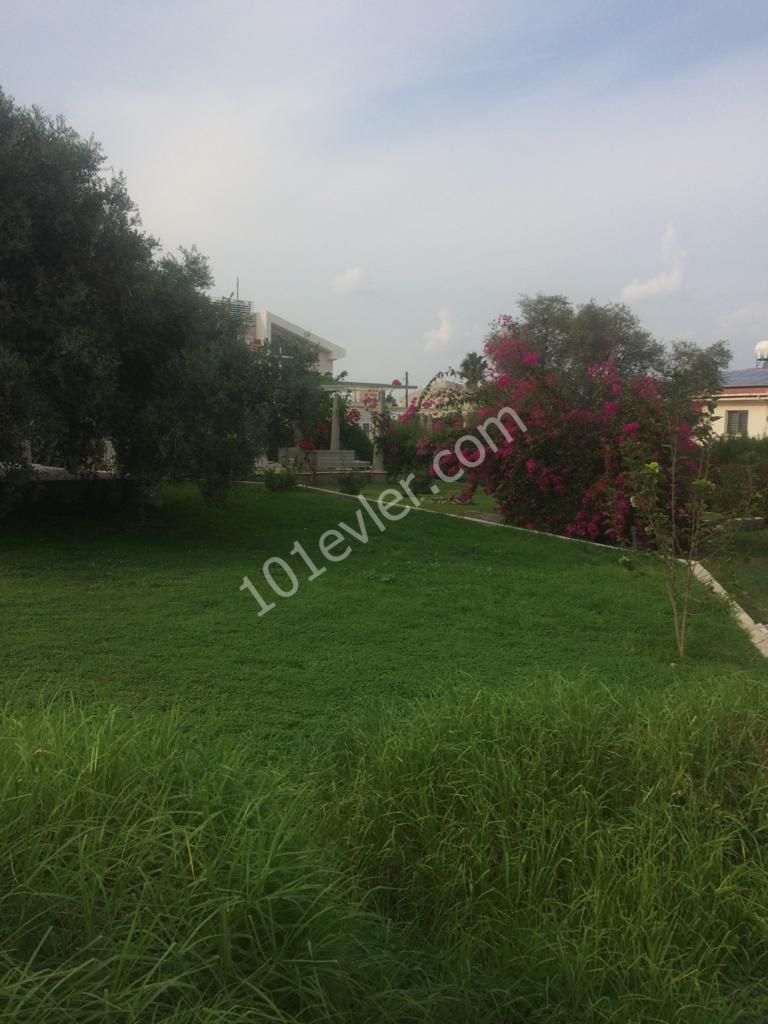 Villa To Rent in Ozanköy, Kyrenia