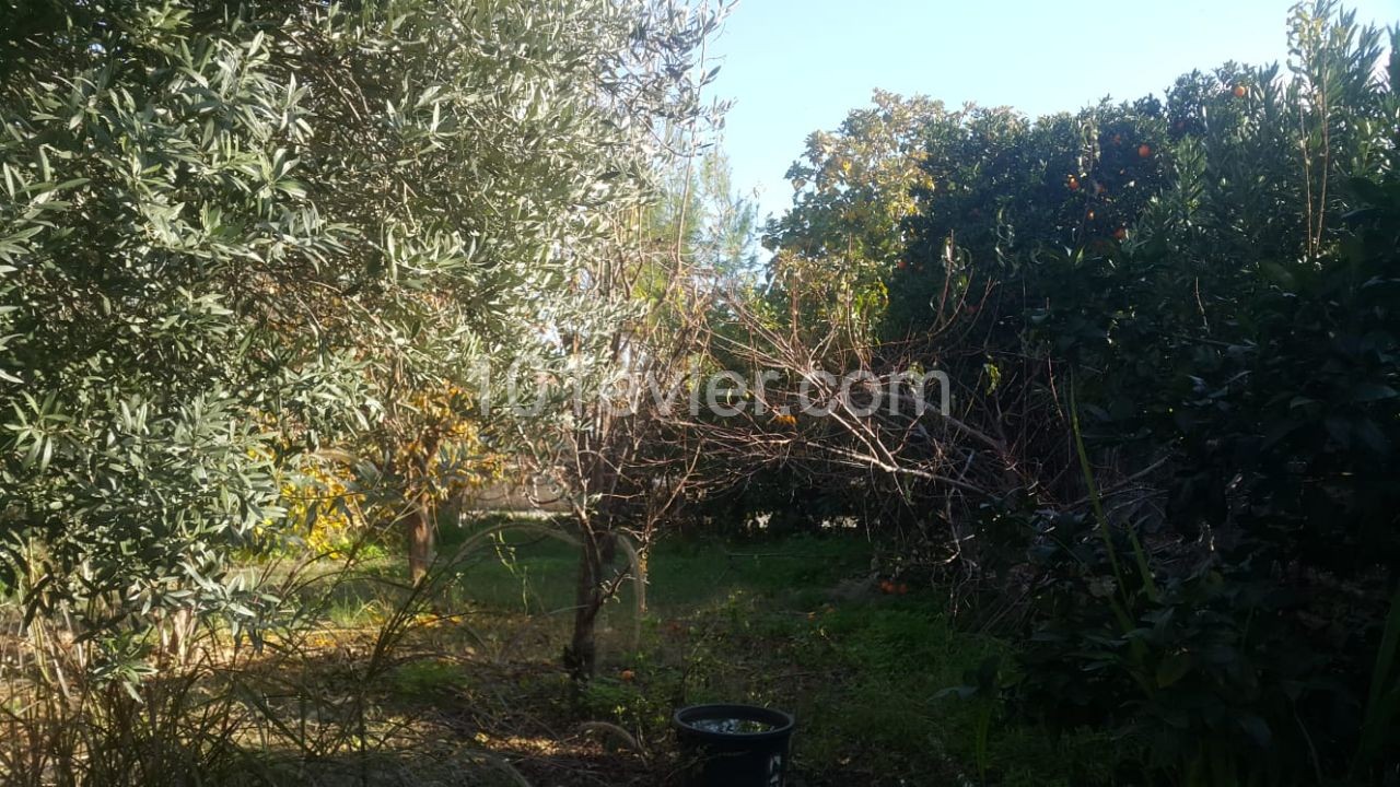 Kyrenia Ozankoyde 3+1 Villa with Pool, Garden FOR SALE ** 