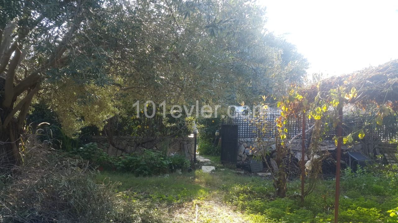 Kyrenia Ozankoyde 3+1 Villa with Pool, Garden FOR SALE ** 