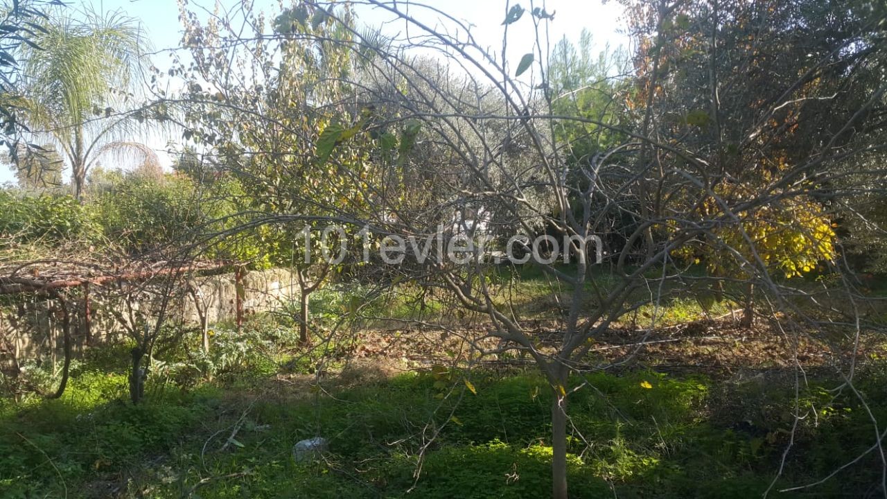 Kyrenia Ozankoyde 3+1 Villa with Pool, Garden FOR SALE ** 