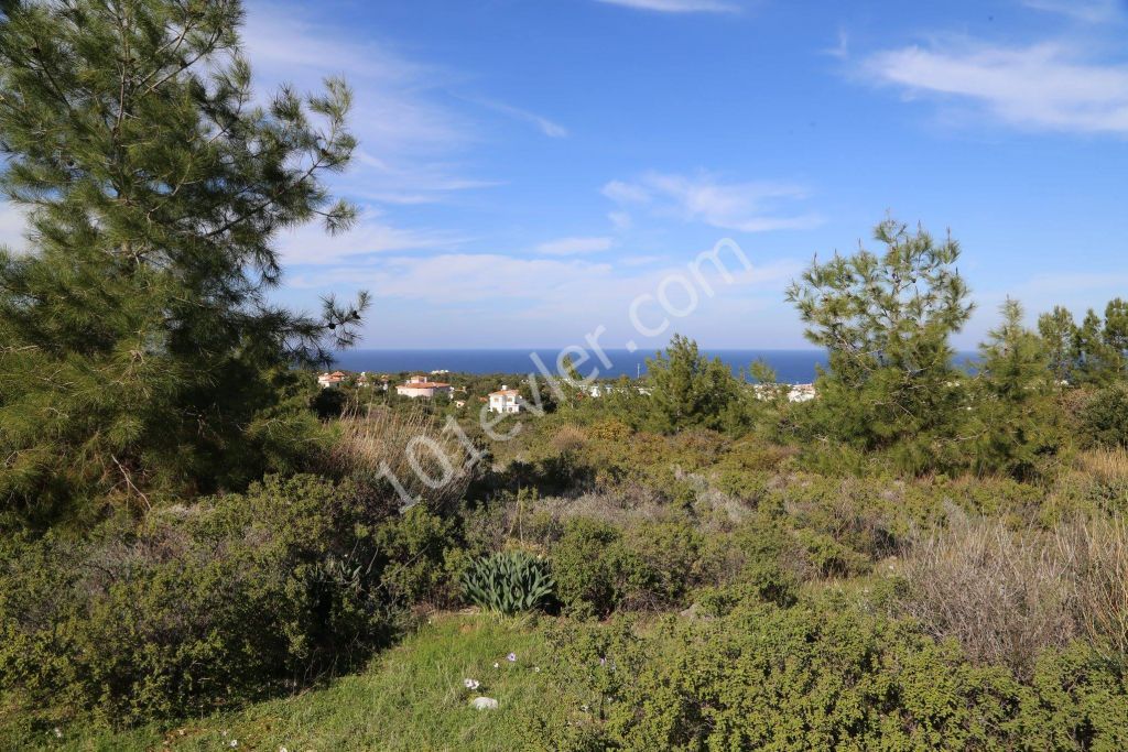 Residential Zoned Plot For Sale in Alsancak, Kyrenia