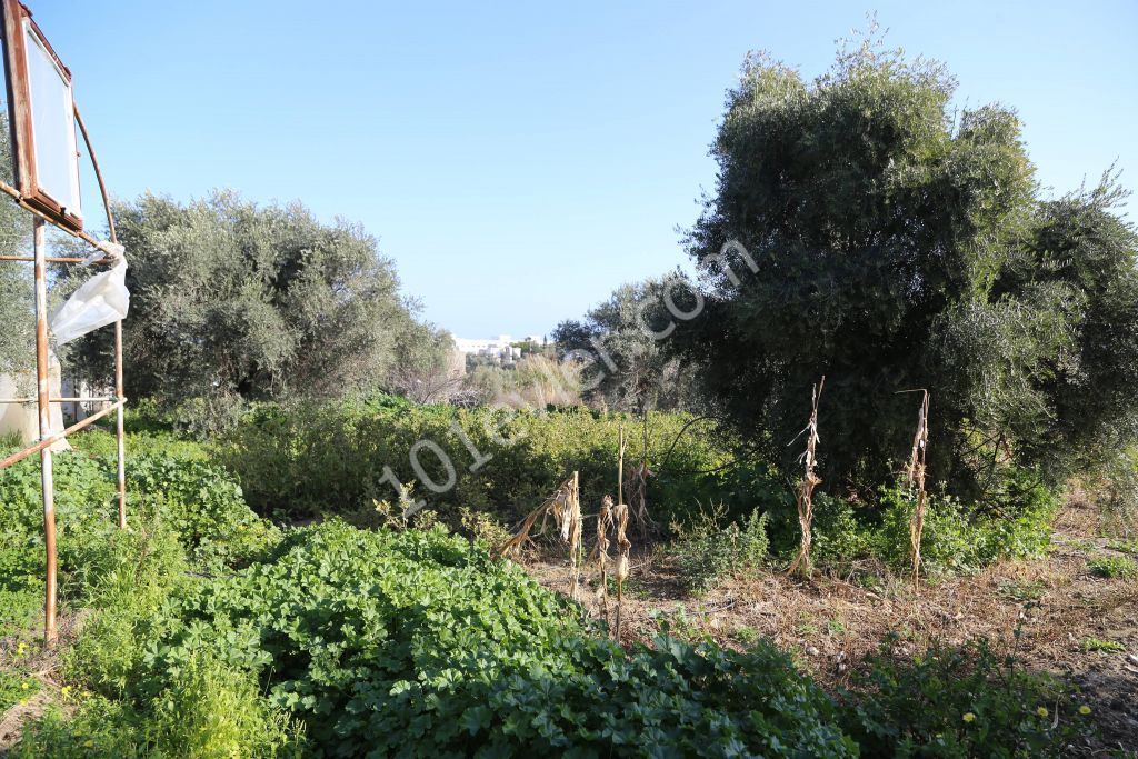 Residential Zoned Plot For Sale in Karakum, Kyrenia