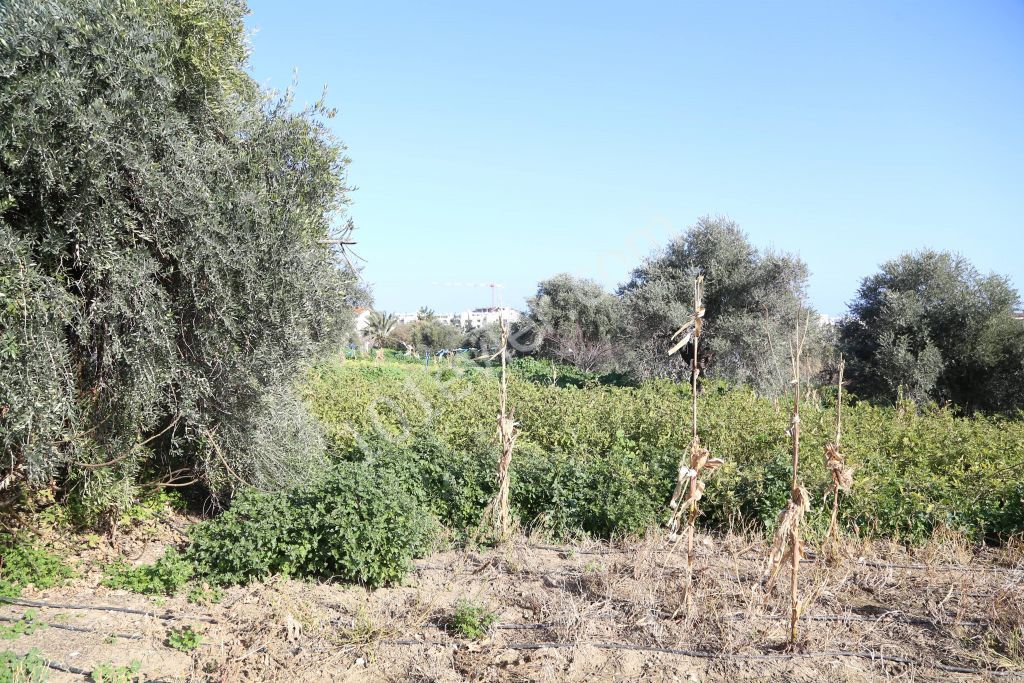 Residential Zoned Plot For Sale in Karakum, Kyrenia