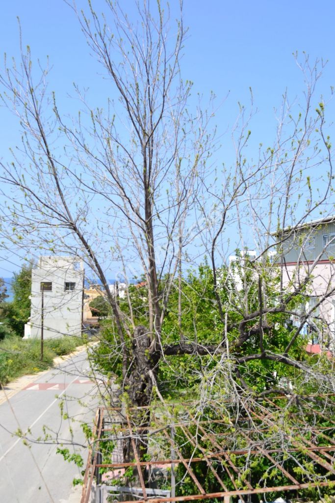 Complete Building For Sale in Karaoğlanoğlu, Kyrenia