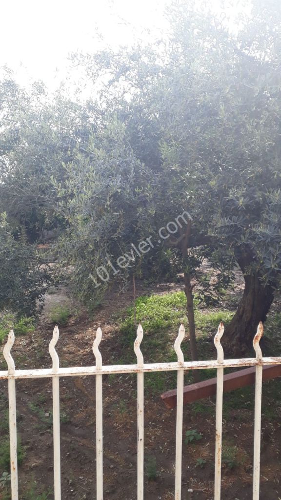 Detached House For Sale in Değirmenlik, Nicosia