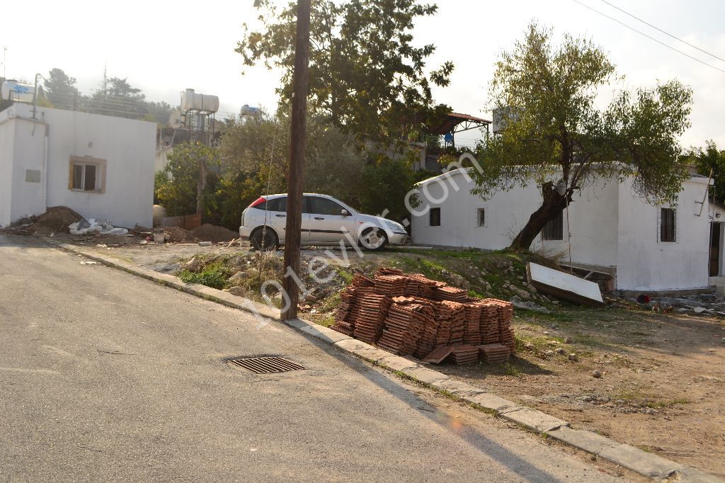 Einfamilienhaus Kaufen in Arapköy, Kyrenia